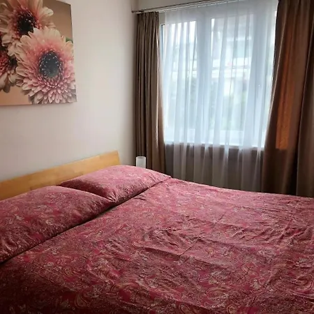 3-zimmer Am Zuerichsee Apartment Rapperswil (St. Gallen)