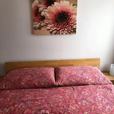 3-zimmer Am Zuerichsee Apartment Rapperswil (St. Gallen)